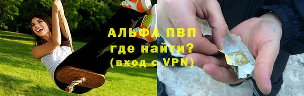 гашик Абаза