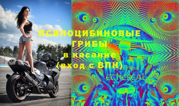 гашик Абаза