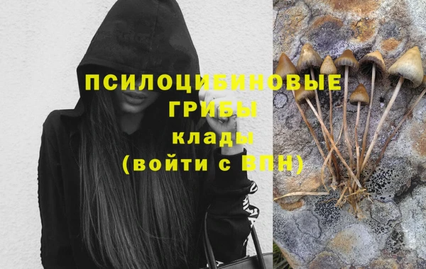 гашик Абаза