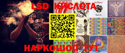 ГАЛЛЮЦИНОГЕННЫЕ ГРИБЫ Гай