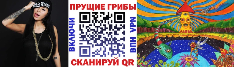блэк спрут ONION  Зеленодольск  Псилоцибиновые грибы GOLDEN TEACHER 